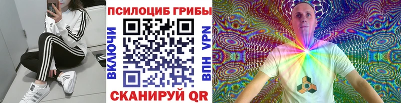 Псилоцибиновые грибы MAGIC MUSHROOMS  Купить где  Армавир 